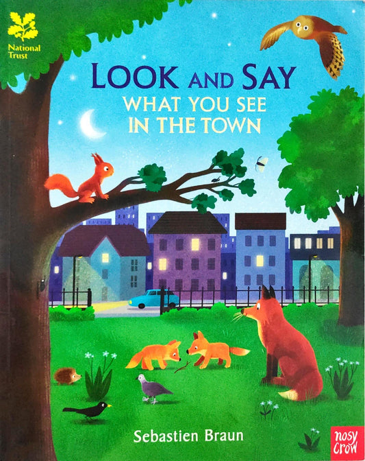 Look and Say What you See in the Town