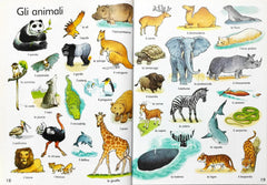 The Usborne First Thousand Words in Italian