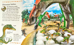 My Best book of Dinosaur