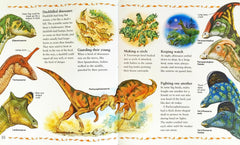 My Best book of Dinosaur