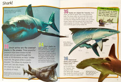100 Facts Oceans