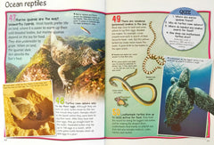 100 Facts Oceans