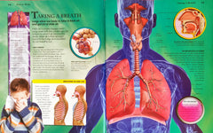 Primary Explorers Human Body