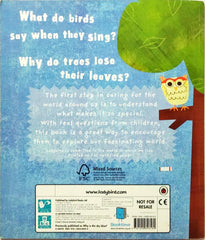 Why is the Sky Blue?