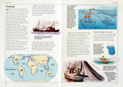 The World Economy