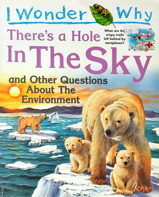 I Wonder Why There's a Hole in the Sky