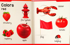 Colours and Shapes (Early Learning Padded Board Book)