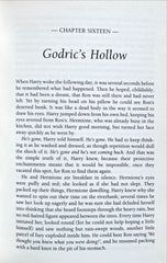 Harry Potter and the Deatbly Hallows (Hardcover Book)