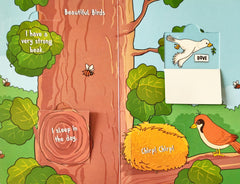 Animal Homes (Lift the Flap)