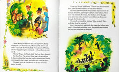 Peter Pan (A Treasure cove Story)