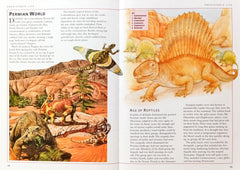 Children's Illustrated Encyclopedia Combo 2 (5 Books)