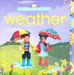 Usborne look and say Weather