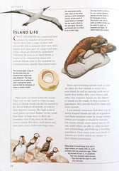Ocean Life