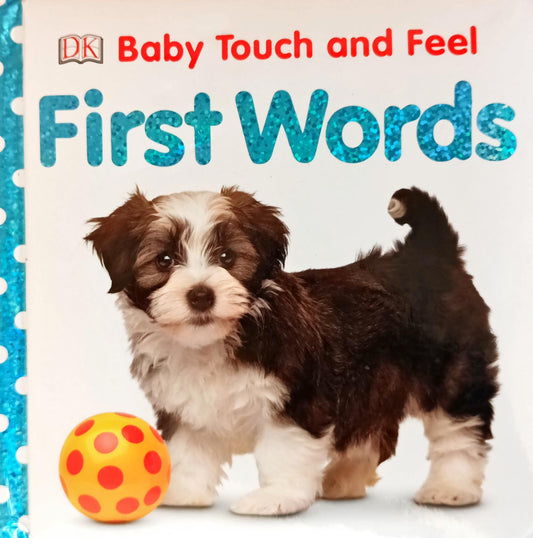 Baby touch and feel First Words