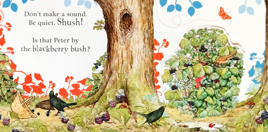 Where is Peter Rabbit?