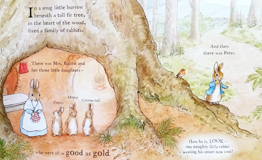 The Tale of a Naughty Little Rabbit