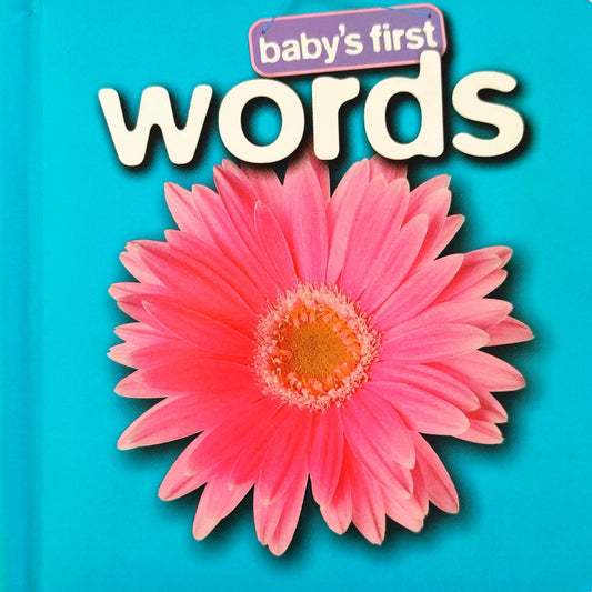 Baby's first Words