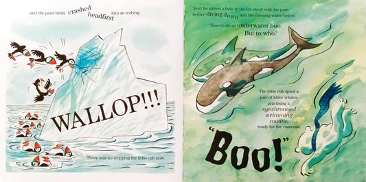 Storybook Combo Set 13 (5 Books)