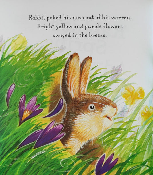 Rabbit's Spring Adventure