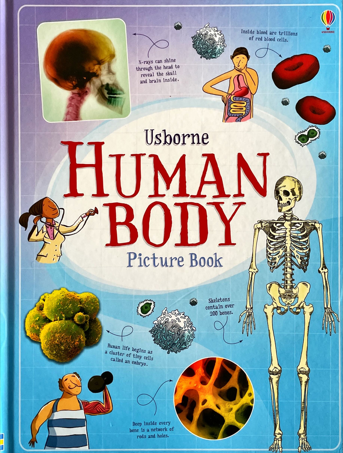 Usborne Human Body Picture Book