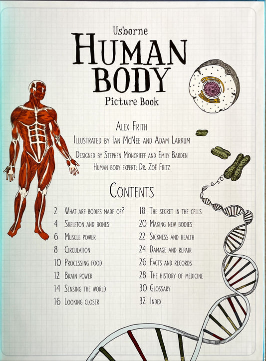 Usborne Human Body Picture Book