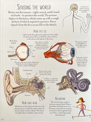 Usborne Human Body Picture Book