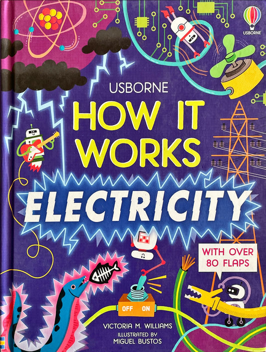 Usborne How it Works Electricity ( With Over 80 Flaps)
