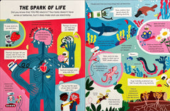 Usborne How it Works Electricity ( With Over 80 Flaps)