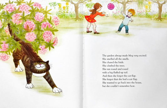 Mog The Forgetful Cat