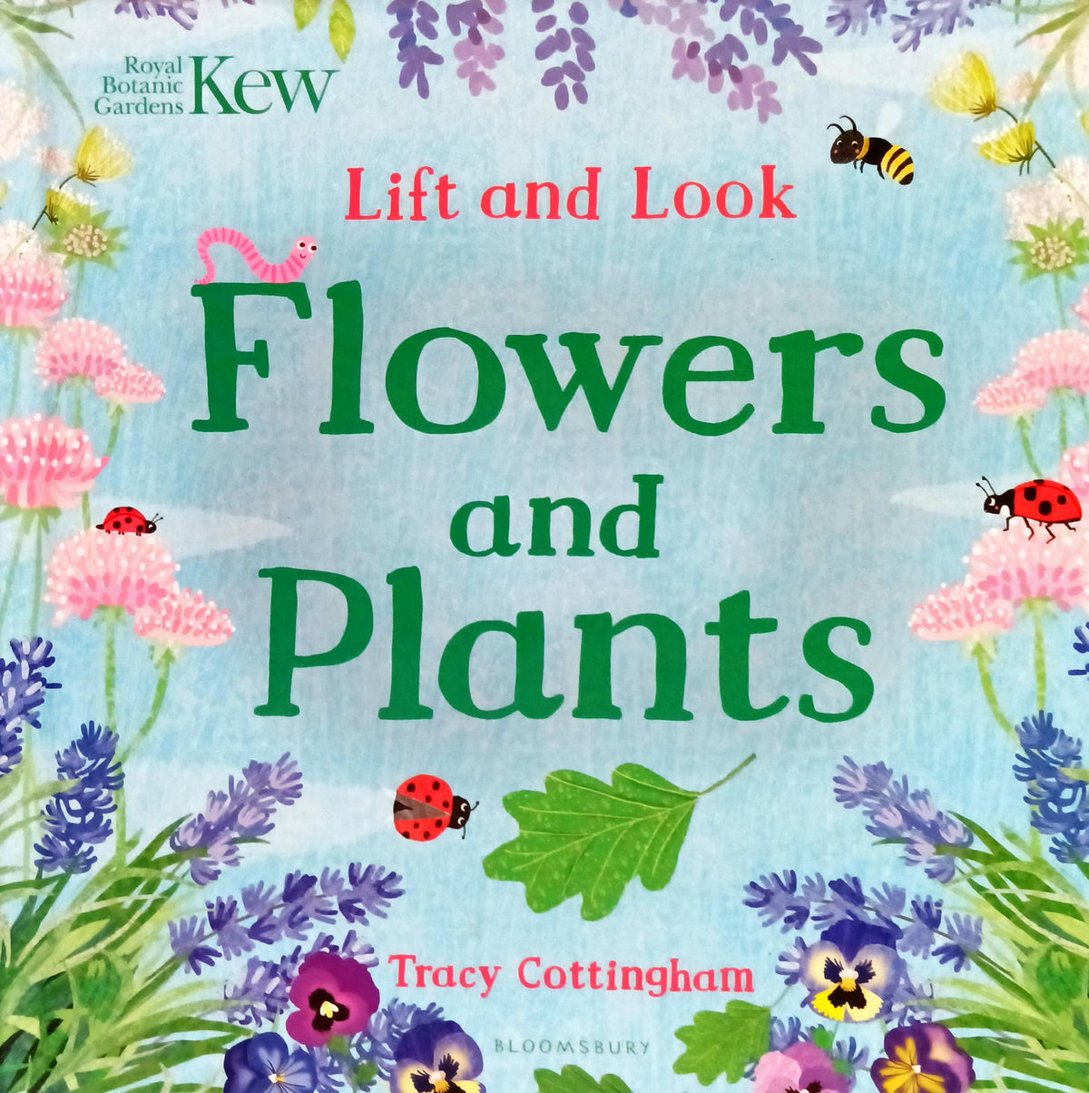 Lift and Look Flowers and Plants