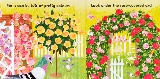 Lift and Look Flowers and Plants