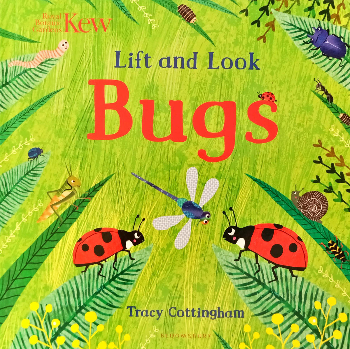 Lift and Look Bugs