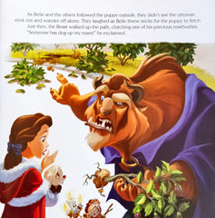 Disney Storybook Collection Princess