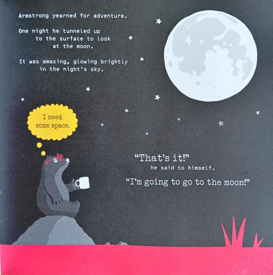 Rocketmole