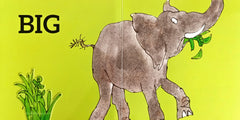 Roald Dahl Opposites