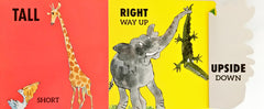 Roald Dahl Opposites