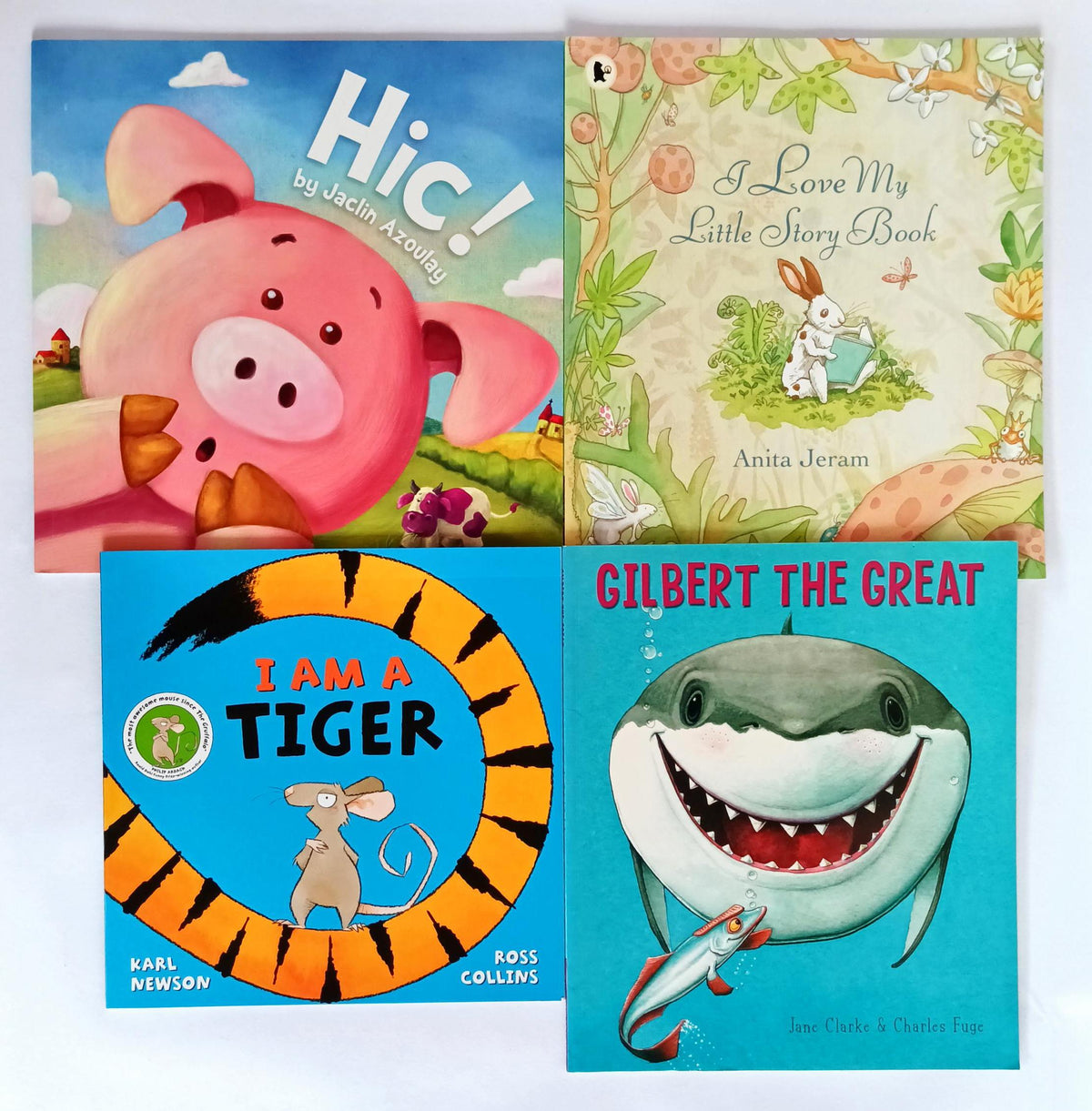 Storybook Combo 35 (4 Books)