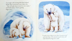 Big Bear Little Bear