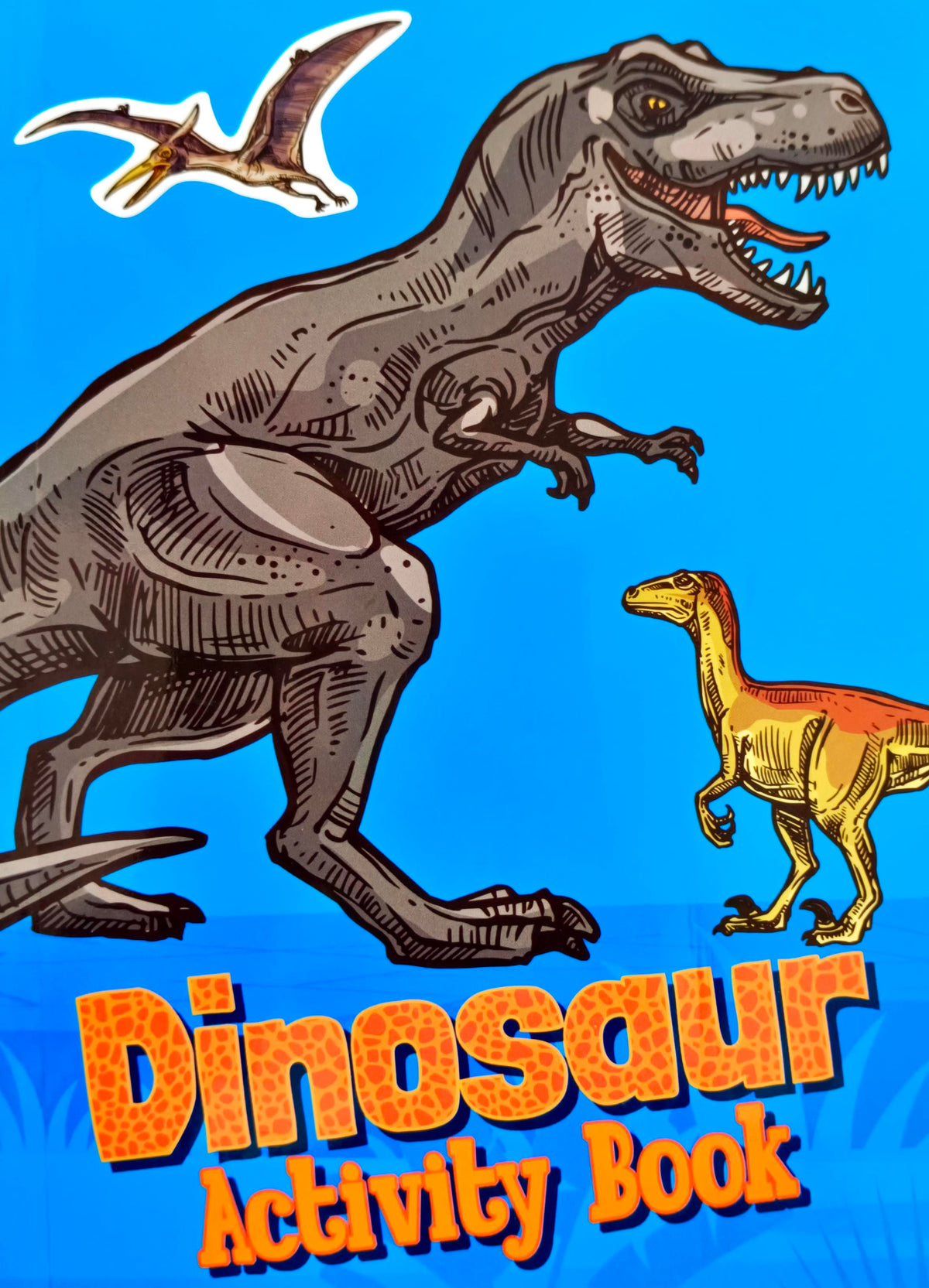 Dinosaur Activity Book