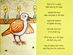 The Bird at the Bottom of the Garden