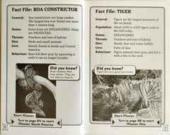 Big Game Adventure