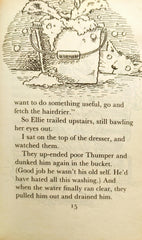 The Diary of a Killer Cat
