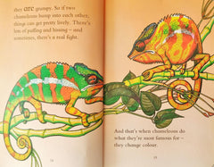 Chameleons are Cool