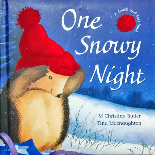 One Snowy Night (Touch and Feel)