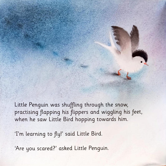 Little Penquin learns to swim