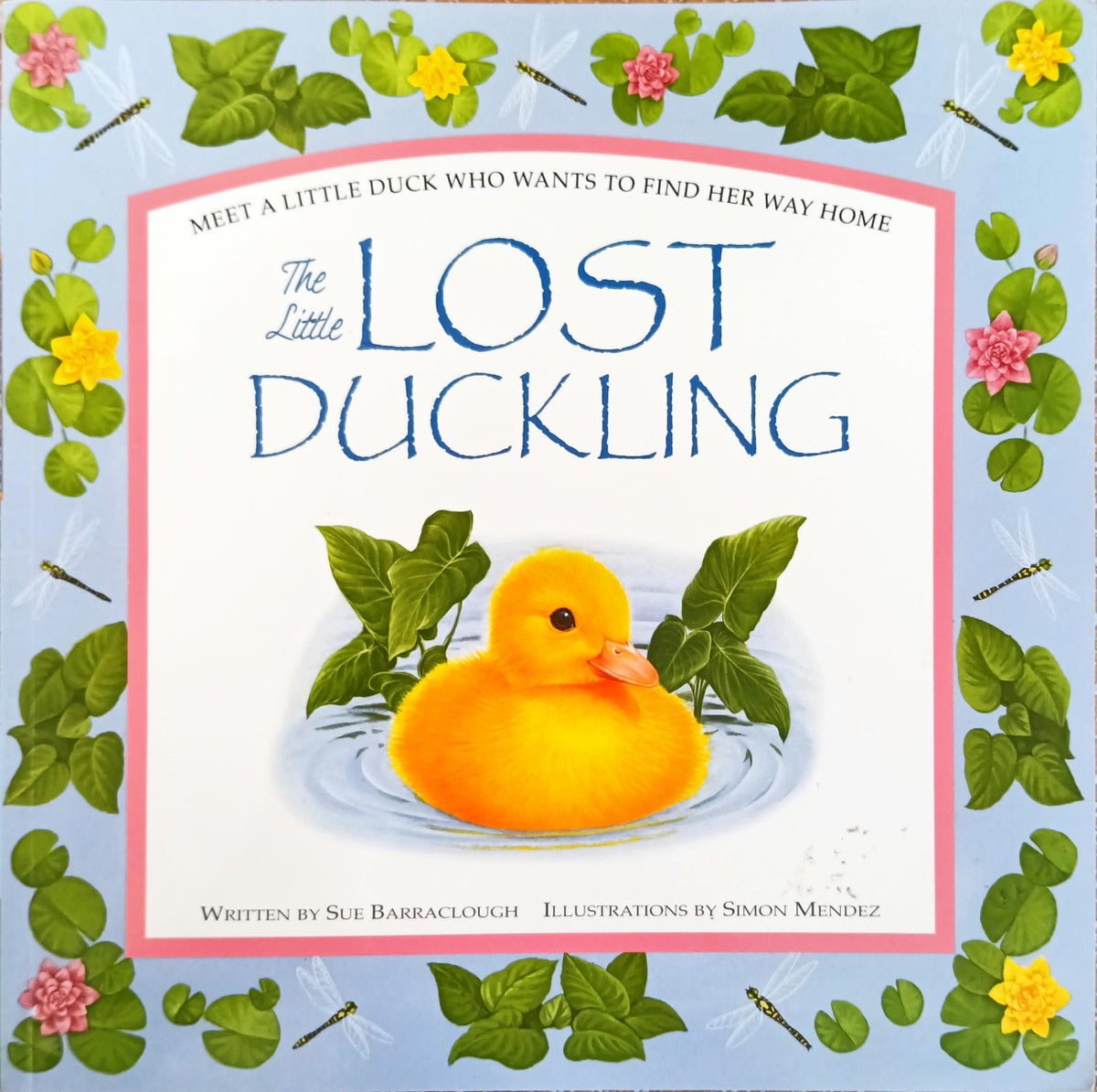The Little lost Duckling