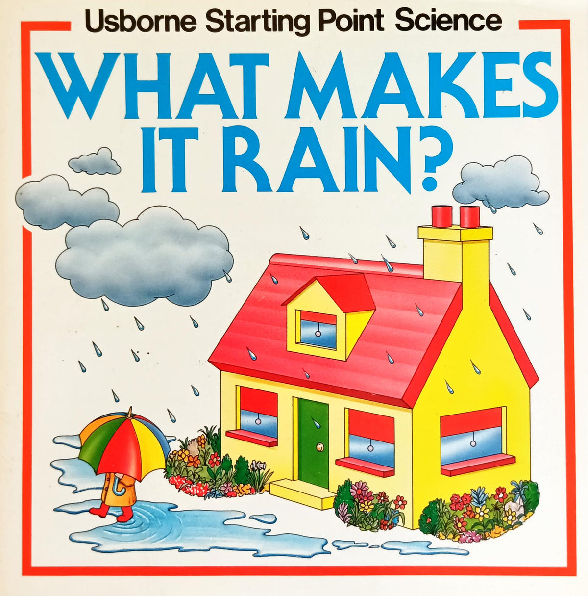 What makes it rain? (Usborne Pocket Science)