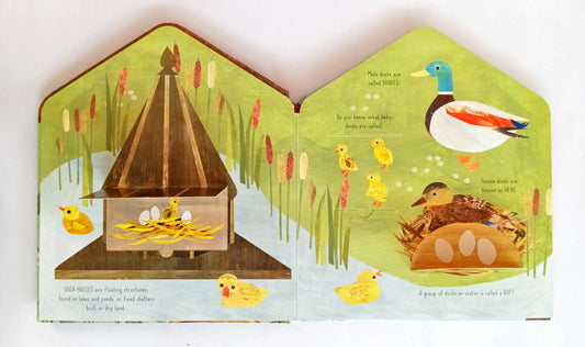 Bird House