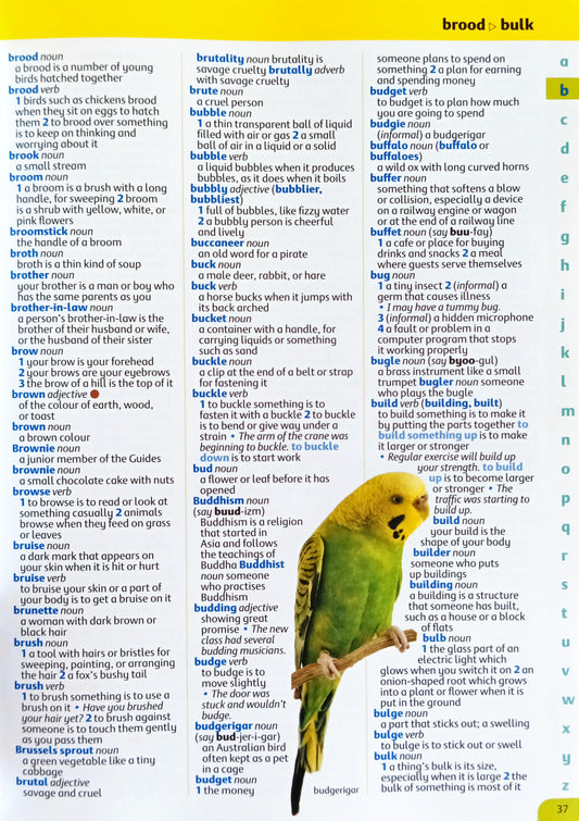 Oxford Illustrated Children's Dictionary