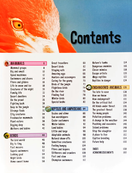 Wild About Animals (Mega Hardcover)